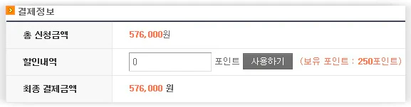 포인트 결제 기능 안내